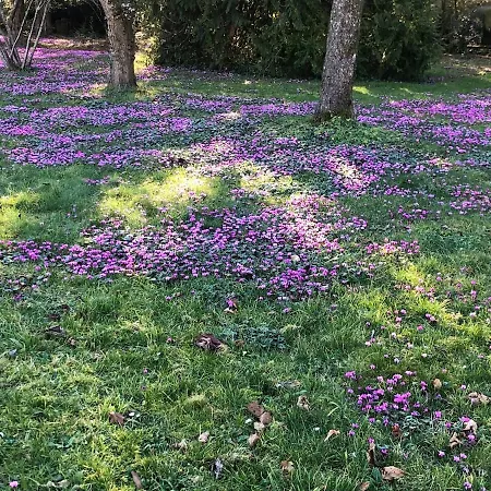 度假居 La Maison D'aubigny 15 Personnes