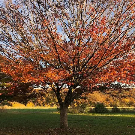 La Maison D'aubigny 15 Personnes * Aubigny (Vendee)