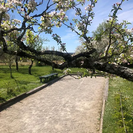La Maison D'aubigny 15 Personnes *