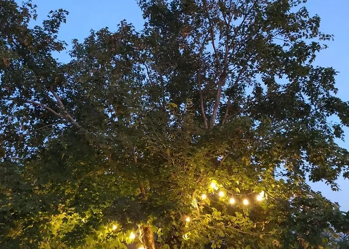 La Maison D'aubigny 15 Personnes *