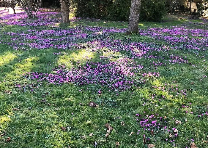 Дом отдыха La Maison D'aubigny 15 Personnes