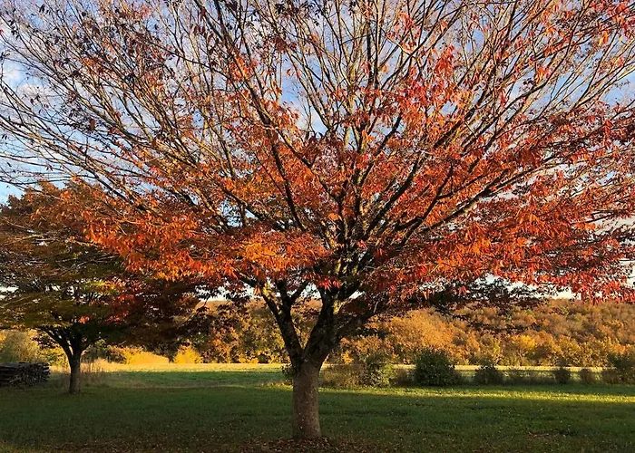 La Maison D'aubigny 15 Personnes * Aubigny (Vendee)